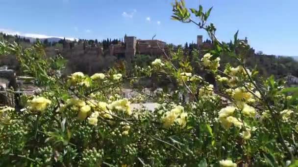 Granada, Endülüs, İspanya - 15 Nisan 2016: Bir gözcü noktasından Alhambra görünümü — Stok video