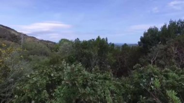 Cebelitarık, İngiltere, Endülüs, İspanya - 16 Nisan 2016: Cebelitarık, Cape