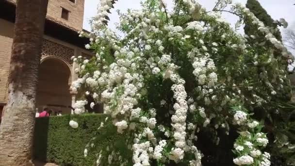 Granada, Andalucía, España - 17 de abril de 2016: Alhambra, un complejo de palacios y residencias fortaleza andaluza y vistas panorámicas de la ciudad de Granada — Vídeos de Stock