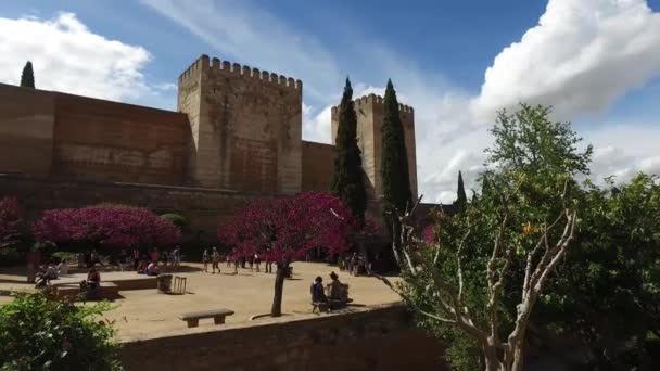 Гранада, Андалусія, Іспанія-17 квітня 2016: Альгамбра фортеця стіни і дерево з персиком цвітіння — стокове відео