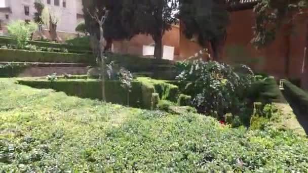 그라나다, 안달루시아, 스페인-4 월 17 일, 2016: 알 함 브라, 역사적인 건물, 구조, 정원, 나무 식물 — 비디오