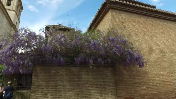 Granada, Andalusien, Spanien - 17. April 2016: Alhambra und die Kirche Santa Maria — Stockvideo