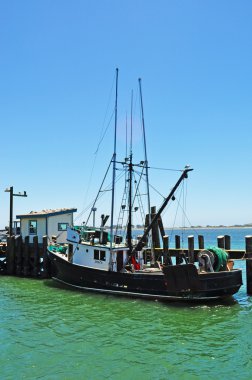 California, ABD: Bodega Harbour Bodega Bay, 1963 Amerikan korku-gerilim filmi The Birds Alfred Hitchcock tarafından hazır olmak için ünlü kıyı kenti, bir balıkçı teknesi demirledi