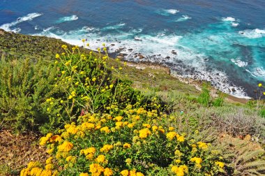 Rota 1, California, ABD: nefes kesen manzarası, Pasifik Okyanusu, sis ve Big Sur, Central Coast, California, Amerika Birleşik Devletleri'nin en popüler turistik yerlerinden biri bir bölgesi bitki örtüsü 