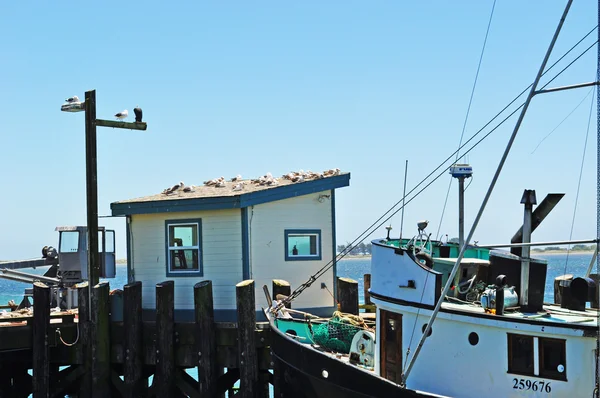 Californie, États-Unis, 13 / 06 / 2010 : un bateau de pêche amarré au port de Bodega dans la baie de Bodega, la ville côtière célèbre pour être le décor du film d'horreur américain The Birds d'Alfred Hitchcock sorti en 1963 — Photo