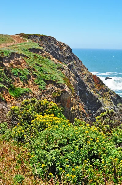 California, Usa: panoramisch uitzicht op de Stille Oceaan in de beroemde stad van Bodega Bay, in Sonoma County, bekend als de instelling voor de film van de The Birds in 1963 geregisseerd door Alfred Hitchcock — Stockfoto