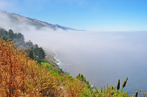 ルート 1、カリフォルニア、米国: 太平洋、霧とビッグ ・ サー、アメリカ合衆国の最も人気のある観光地の 1 つカリフォルニアの中央海岸の地域の植生の素晴らしい景色 — ストック写真