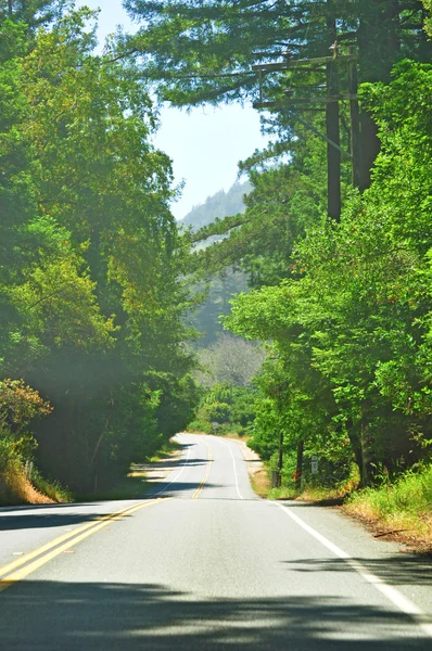California, Verenigde Staten van Amerika, VS: zicht op de weg op de snelweg 1 naar Big Sur, de regio van de centrale kust van Californië, een van de meest populaire toeristische bestemmingen van de staat — Stockfoto