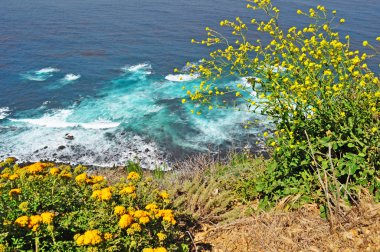 Rota 1, California, ABD: nefes kesen manzarası, Pasifik Okyanusu, sis ve Big Sur, Central Coast, California, Amerika Birleşik Devletleri'nin en popüler turistik yerlerinden biri bir bölgesi bitki örtüsü 