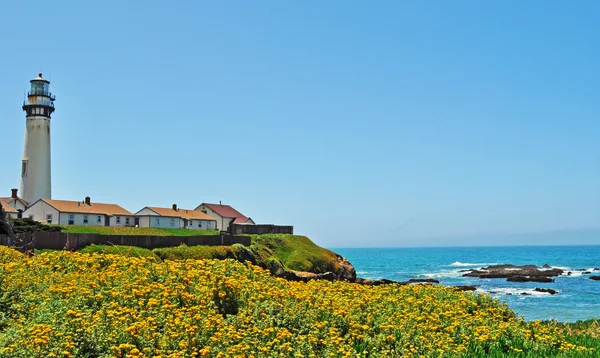 California, Usa: antenne en een panoramisch uitzicht op een gebied van gele bloemen met het Pigeon Point Light Station, de hoogste vuurtoren van de westkust van de Verenigde Staten, gebouwd in 1871 bij schepen aan de Pacifische kust — Stockfoto