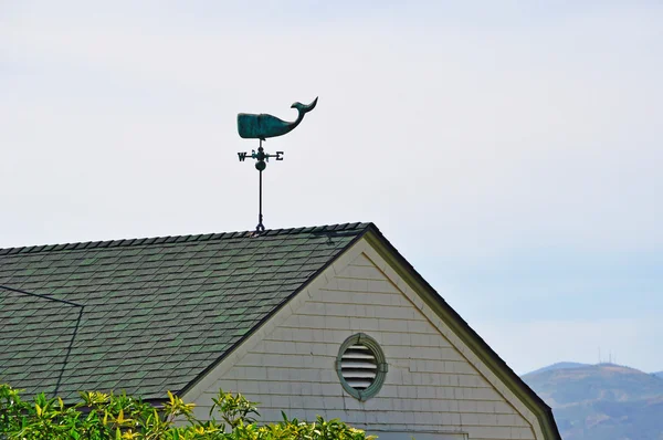San Francisco, California: a weathervane shaped like a whale on a roof in the streets of the city — Stock Photo, Image