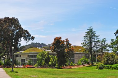 San Francisco: yeşil çatı California Renzo İtalyan mimar tarafından gerçekleştirilen bilim 