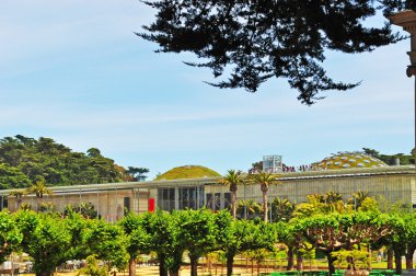 San Francisco: yeşil çatı California Renzo İtalyan mimar tarafından gerçekleştirilen bilim 
