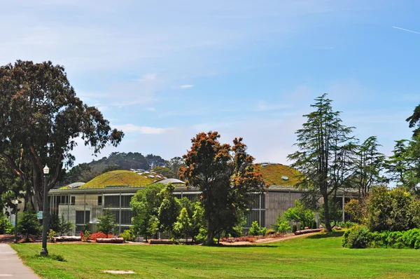 Сан-Франциско: зелена дах Каліфорнійська академія наук, реалізовані за проектом італійського архітектора Ренцо — стокове фото