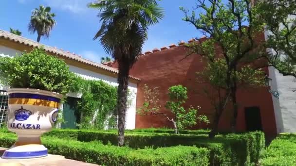 Alcazar, indoor gardens, courtyards and rooms — Stock Video