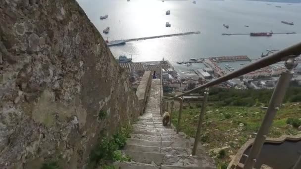 Gibraltar, Reino Unido, Andaluzia, Espanha - 16 de abril de 2016: Cabo de Gibraltar — Vídeo de Stock