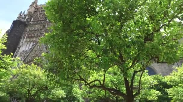 Sevilha, Andaluzia, Espanha - 18 de abril de 2016: Catedral de Sevilha jardins — Vídeo de Stock