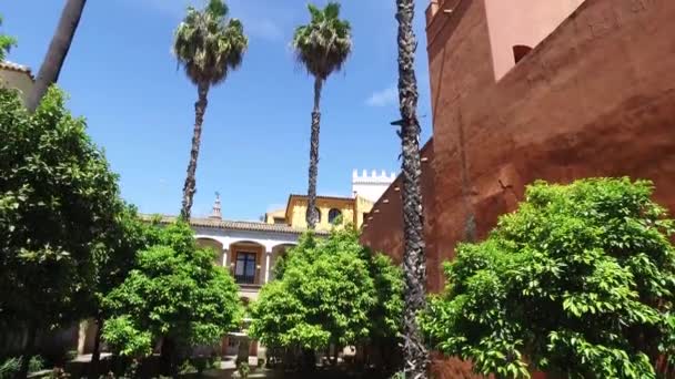 Alcazar, zimní zahrady, nádvoří a pokoje — Stock video