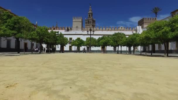 Katedralen i Sevilla i Andalusien, Spanien — Stockvideo