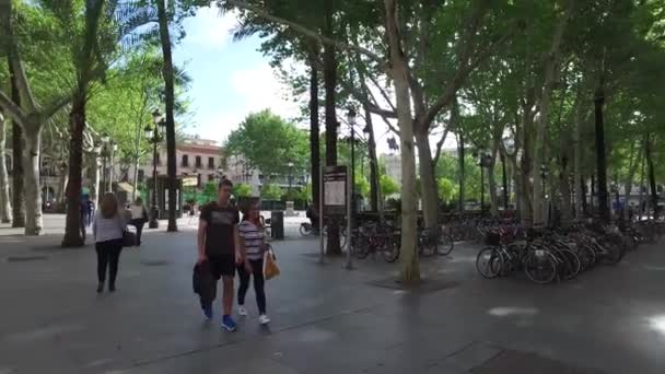 Plaza nueva, Rathaus — Stockvideo