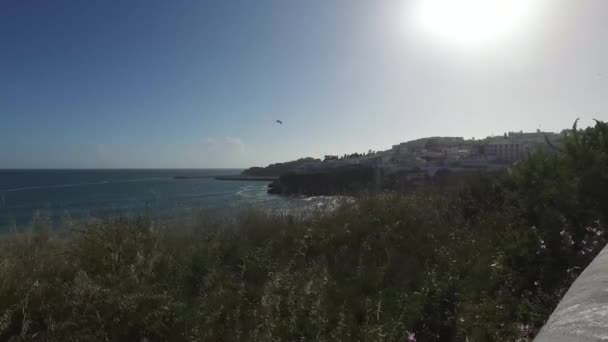 Coast of the town of Albufeira — Stock Video