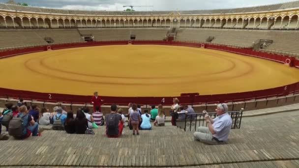 Plaza de Toros de la Real Maestranza — Video Stock