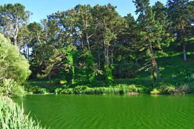 San Francisco: yeşil yatay, Golden Gate Park, şehrin en büyük kentsel park havuz 