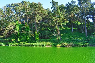 San Francisco: yeşil yatay, Golden Gate Park, şehrin en büyük kentsel park havuz 