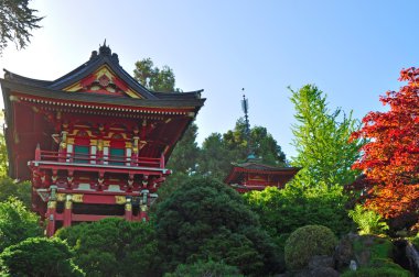 San Francisco, California, ABD: çay evi içinde Japon çay Bahçesi, Golden Gate Park içinde 1894 yılında oluşturulan Amerika Birleşik Devletleri'nde en eski genel Japon bahçesi