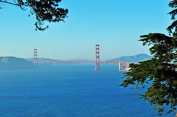 São Francisco, Califórnia, EUA: vista panorâmica da Ponte Golden Gate, inaugurada em 1936, símbolo da cidade de São Francisco no mundo, vista através das árvores — Fotografia de Stock
