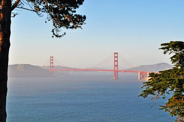 San Francisco, Kalifornie, Usa: výhled na Golden Gate Bridge, v roce 1936, symbol v městě San Francisco ve světě, vidět skrze stromy — Stock fotografie