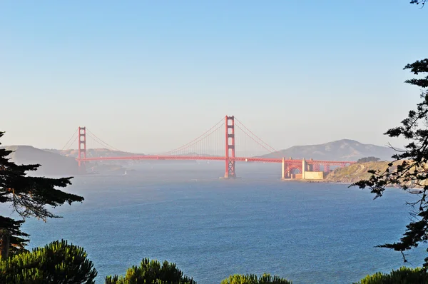 San Francisco, Kalifornie, USA: most Zlaté brány zahlédl koryto stromů — Stock fotografie