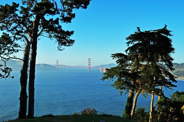 San Francisco, California, Usa: panoramisch uitzicht op de Golden Gate Bridge, geopend in 1936, symbool van de stad van San Francisco in de wereld, gezien door de bomen — Stockfoto