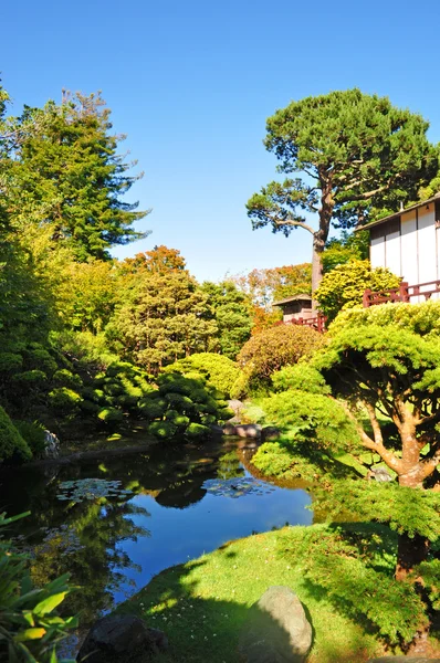 San Francisco, California, EE.UU.: un estanque en el Jardín del Té Japonés, el jardín público japonés más antiguo de los Estados Unidos, creado en 1894 dentro del Golden Gate Park — Foto de Stock
