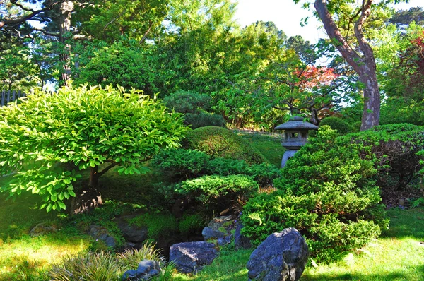 San Francisco, California, Usa: the footpath in the Japanese Tea Garden, the oldest public Japanese garden in the United States, created in 1894 inside the Golden Gate Park — Stock Photo, Image