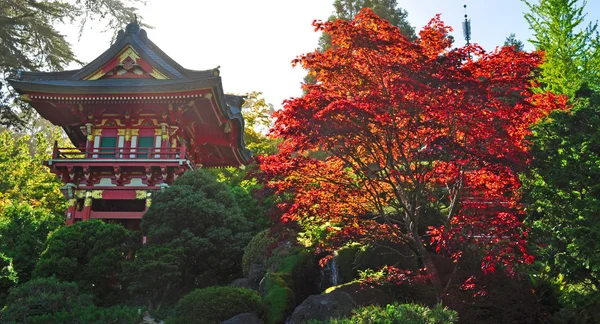 San Francisco, California, EE.UU.: la Casa del Té en el Jardín del Té Japonés, el jardín público japonés más antiguo de los Estados Unidos, creado en 1894 dentro del Parque Golden Gate — Foto de Stock