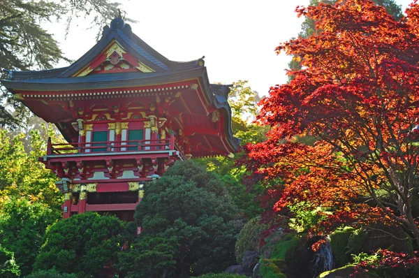 San Francisco, California, EE.UU.: la Casa del Té en el Jardín del Té Japonés, el jardín público japonés más antiguo de los Estados Unidos, creado en 1894 dentro del Parque Golden Gate — Foto de Stock