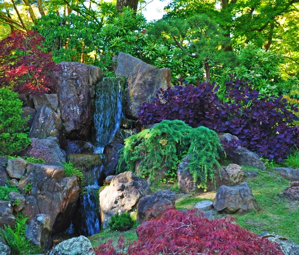 San Francisco, Calidfornia, Usa: rocks and maple leaves in the Japanese Tea Garden, the oldest public Japanese garden in the United States, created in 1894 inside the Golden Gate Park — Stock Photo, Image