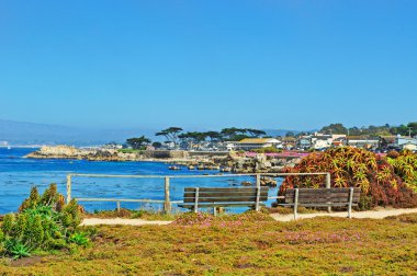 California, ABD: Monterey Bay okyanustan gördün göster Avenue Pacific Grove, Monterey County Pembe çiçek çiçek açan ve onun Victoria evleri için bilinen bir kıyı kenti
