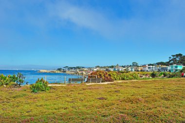 California, ABD: Monterey Bay okyanustan gördün göster Avenue Pacific Grove, Monterey County Pembe çiçek çiçek açan ve onun Victoria evleri için bilinen bir kıyı kenti