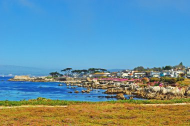 California, ABD: Monterey Bay okyanustan gördün göster Avenue Pacific Grove, Monterey County Pembe çiçek çiçek açan ve onun Victoria evleri için bilinen bir kıyı kenti