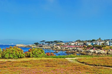 California, ABD: Monterey Bay okyanustan gördün göster Avenue Pacific Grove, Monterey County Pembe çiçek çiçek açan ve onun Victoria evleri için bilinen bir kıyı kenti