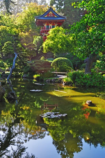 San Francisco, Califoria, Usa: a pond and the Tea House in the Japanese Tea Garden, the oldest public Japanese garden in the United States, created in 1894 inside the Golden Gate Park