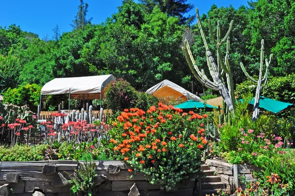 California: flowers and trees at Nephente restaurant,  a very famous restaurant in Big Sur since 1949 — Stock Photo, Image