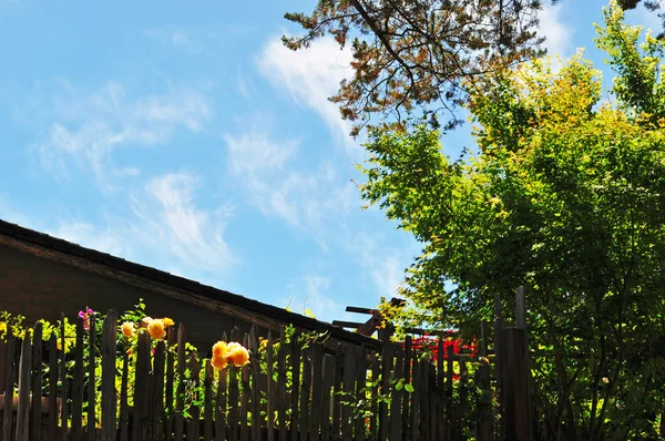 Big Sur, Kalifornie, USA: květiny a stromy v Nepenthe Restaurant, velmi slavná restaurace od roku 1949 kde v 1963 Elizabeth Taylor a Richard Burton natočovali lidové tance v filmu Sandpiper — Stock fotografie