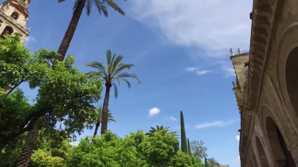 Cordoba, Andalusien, Spanien, 20 April 2016: Domkyrkan den obefläckade avlelsen av Maria utomhus trädgård och klocktorn — Stockvideo