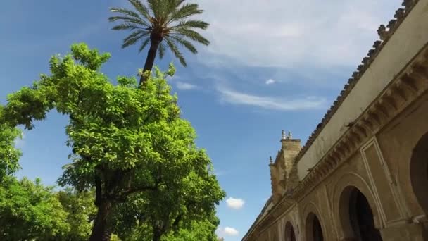 Cordoba, Andalusien, Spanien, 20 April 2016: Domkyrkan den obefläckade avlelsen av Maria utomhus trädgård och klocktorn — Stockvideo