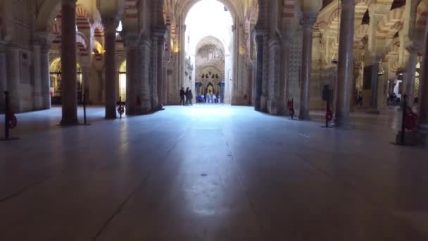 Cordoba, Andalusie, Spanje, 20 April 2016: Kathedraal van de Onbevlekte Ontvangenis van de Heilige Maagd Maria — Stockvideo