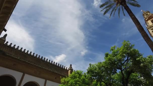 Córdoba, Andalucía, España, 20 de abril de 2016: Catedral de la Inmaculada Concepción de María, jardín al aire libre y campanario — Vídeo de stock