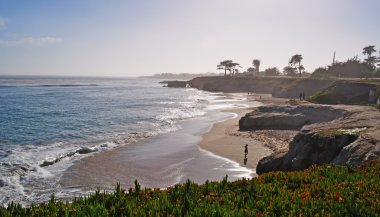 California, Amerika Birleşik Devletleri, ABD: Sahil ve beach Santa Cruz, şehir onun kıyı şeridi doğal güzelliği ve plajları uluslararası Pasifik Okyanusu üzerinde kabul surfer's paradise